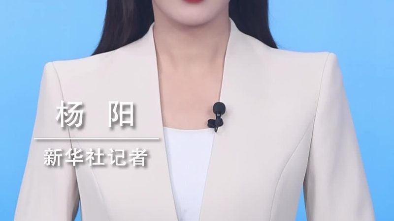 数据治理案例分享汇的参与流程与价值分析